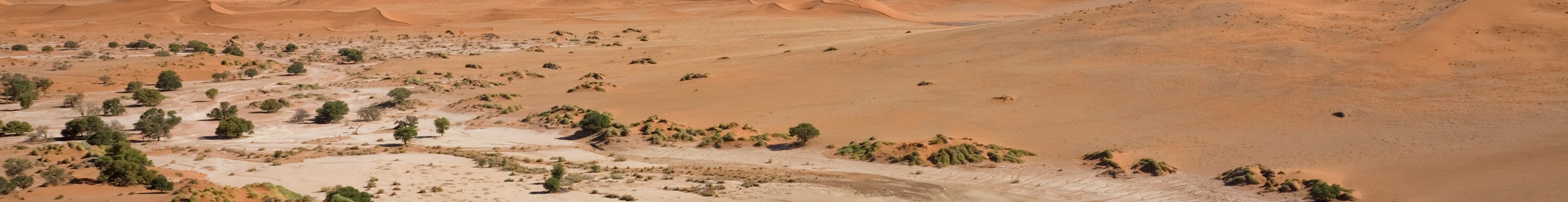 Unmissable Places To Visit In Namibia
