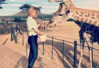 namibia feeding giraffes voigtland guesthouse