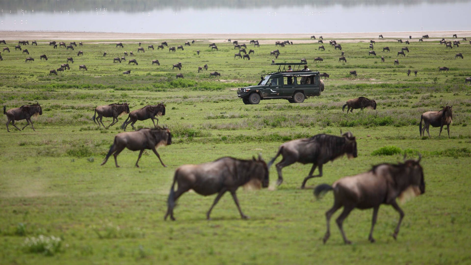 The Masai Mara National Reserve, Kenya