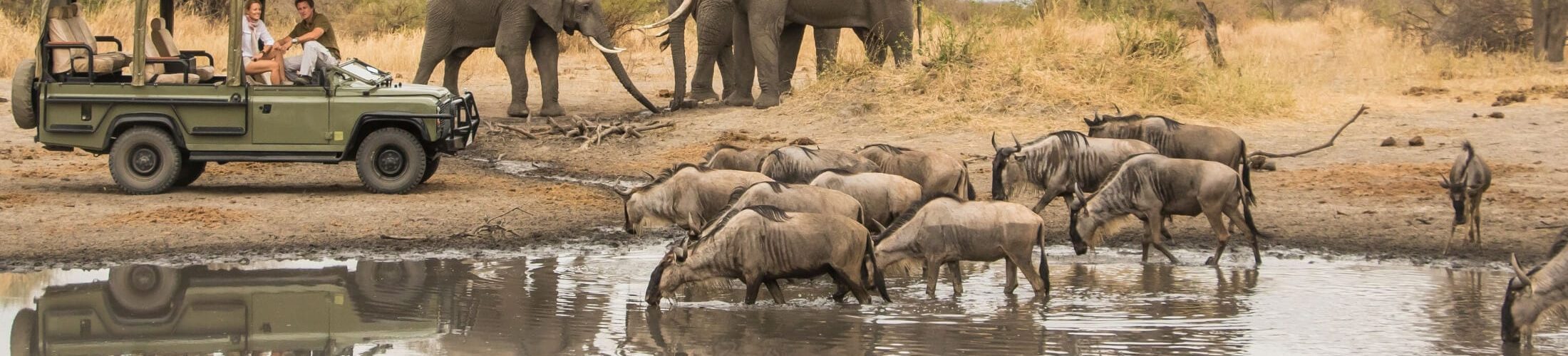 Safari in South Africa