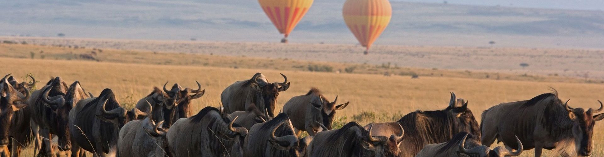 Serengeti National Park
