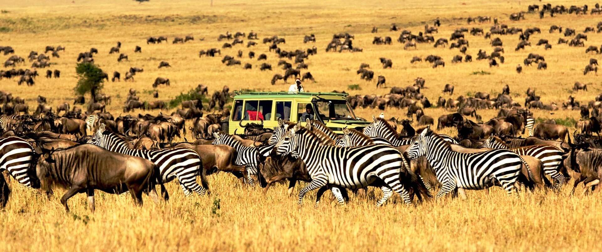 Best luxarious Safaris in tanzania
