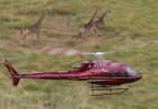 Helicopter safaris
