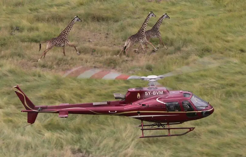 Helicopter safaris