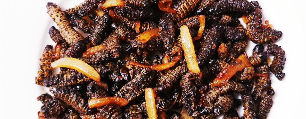 Weird foods in South Africa