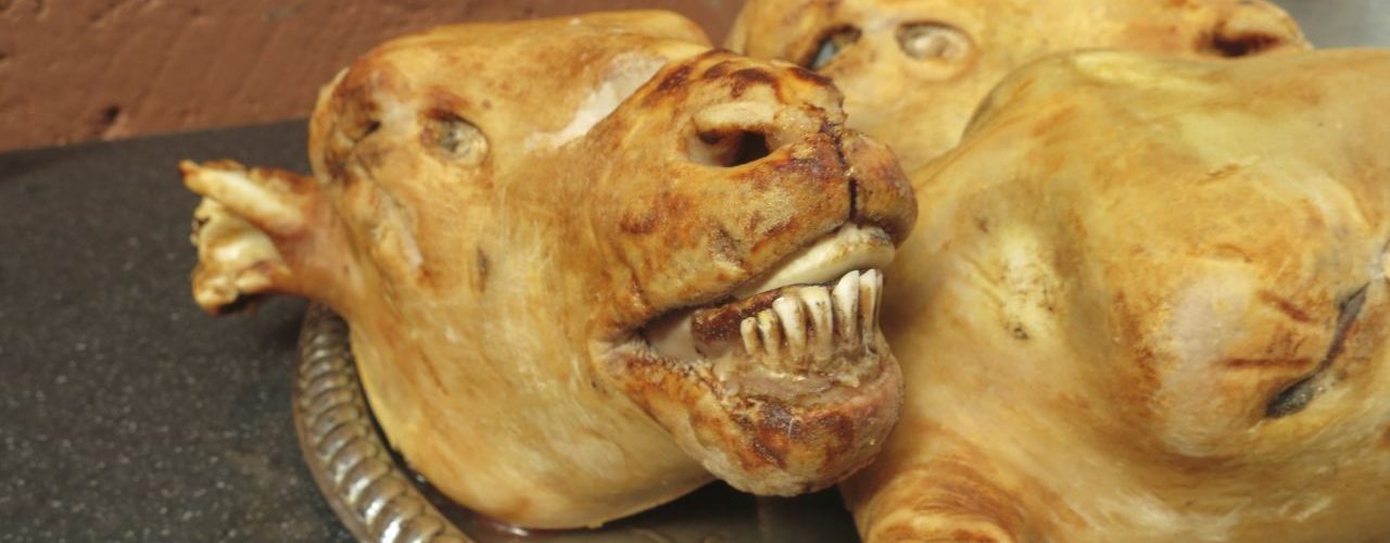 Weirdest food in South Africa
