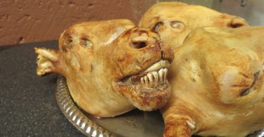 Weirdest food in South Africa