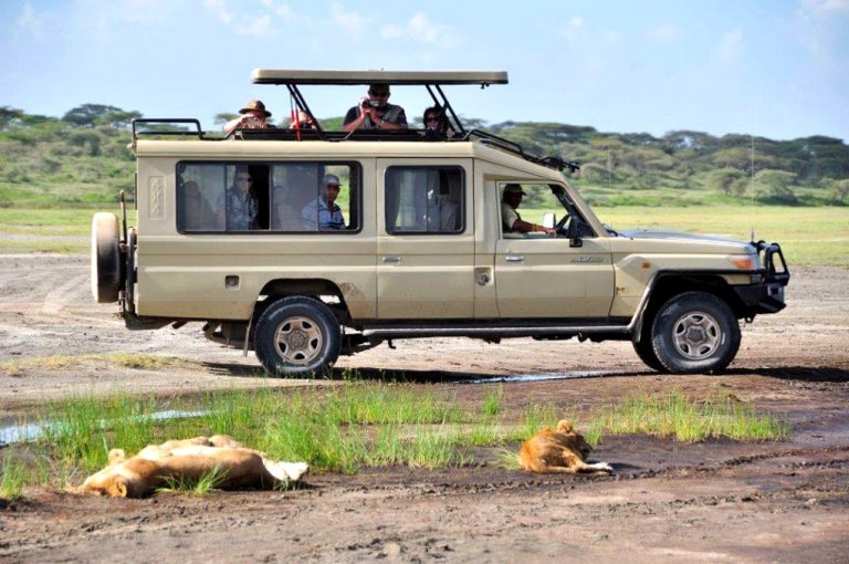 Best Cars to Drive in Africa During a Safari - See Africa Today