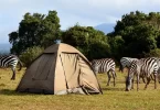 Camping Safaris in Tanzania
