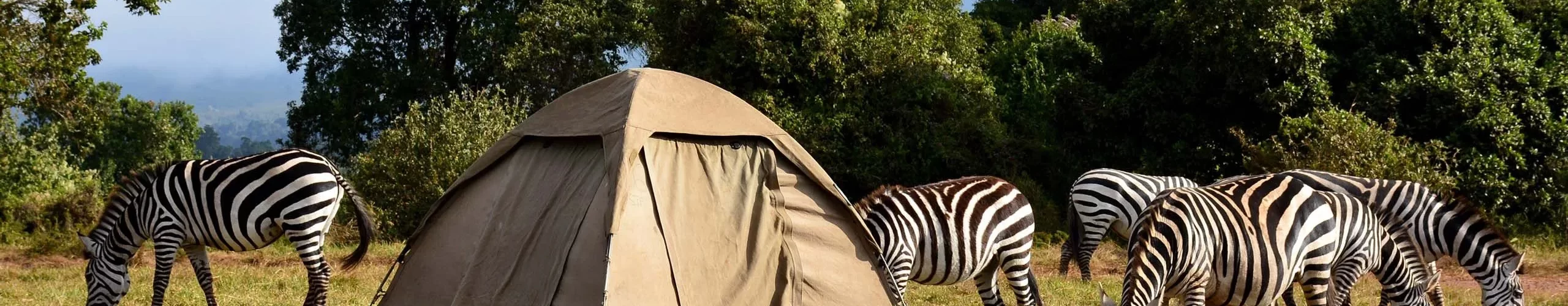 camping safaris in tanzania