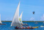 Lamu cultural festival dates