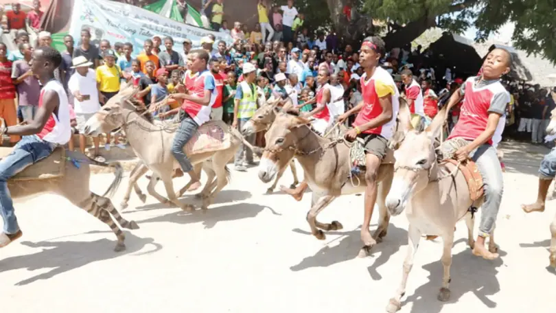 Lamu Cultural Festival