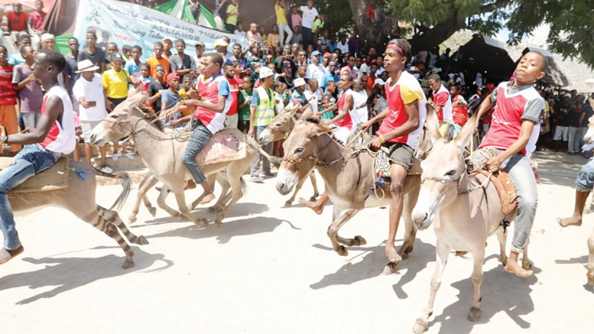 to Lamu, the Kenyan Island of Festivals See Africa Today