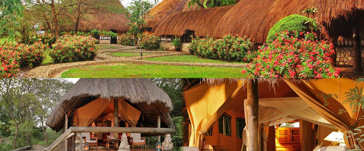 best eco lodges in uganda