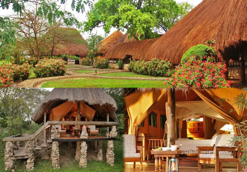 Best Eco Lodges in Uganda