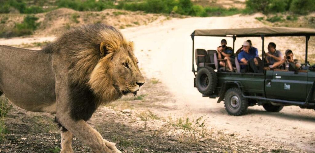 Africa as a tourist destination