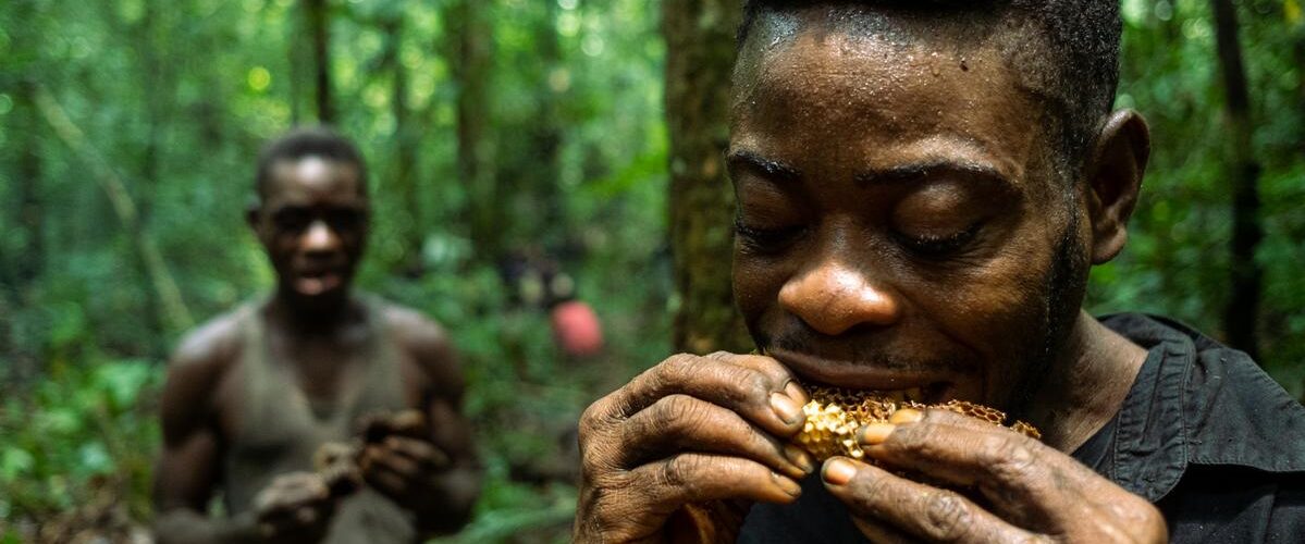 pygmy tribe congo