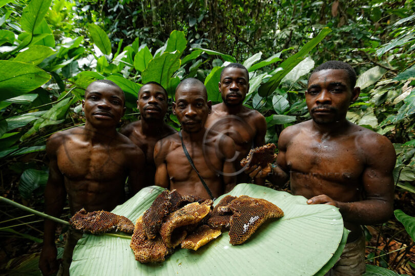 Rare Tribe in Congo That Eats Poisonous Snakes See Africa Today