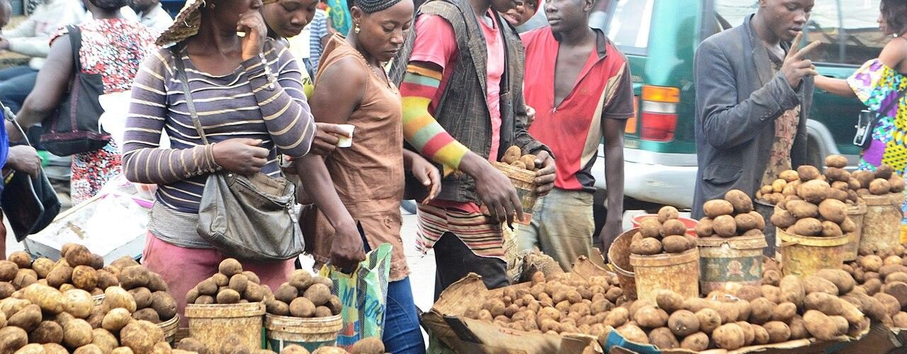 things to learn about cameroon