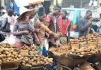 Cameroon Market
