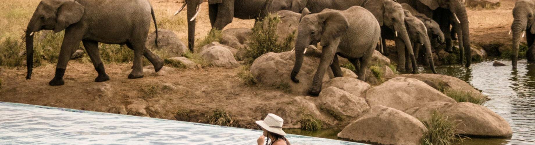 best luxury safari lodges in serengeti