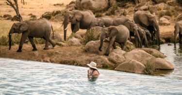 best luxury safari lodges in Serengeti