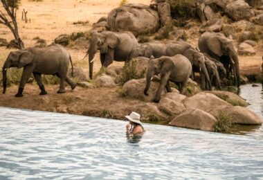 best luxury safari lodges in Serengeti