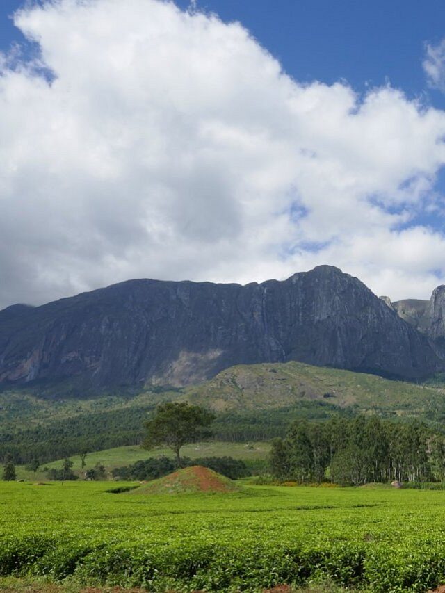 All about Mount Mulanje, Malawi - See Africa Today