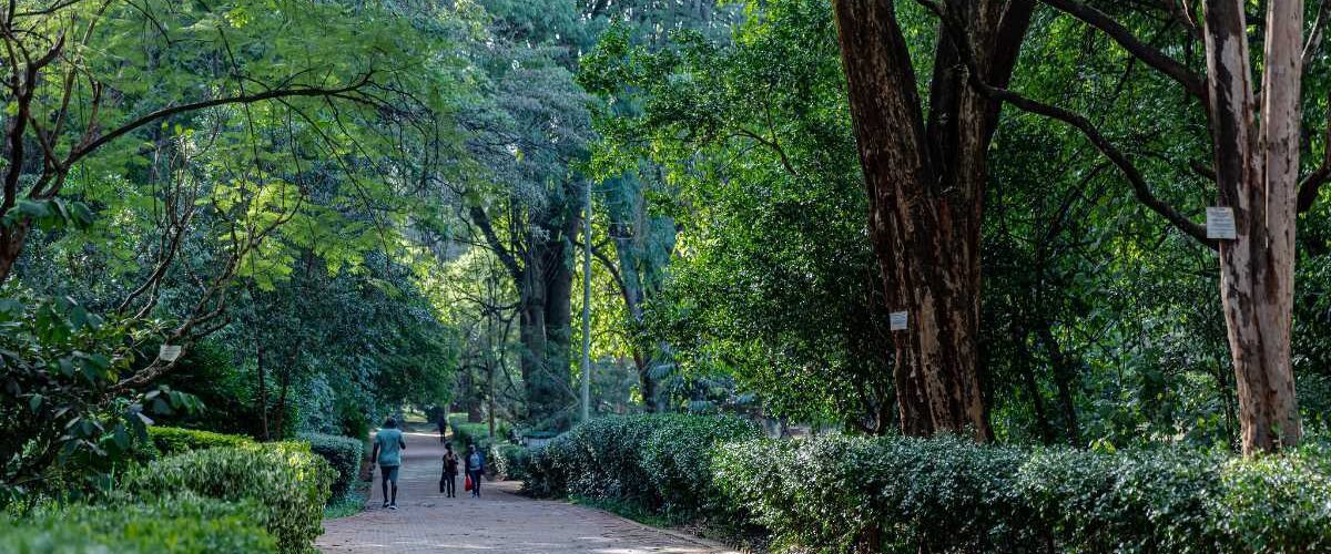 Hidden gems in nairobi