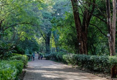 Hidden gems in nairobi