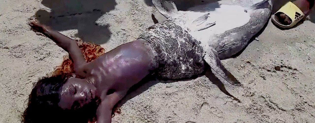 mermaid in South Africa