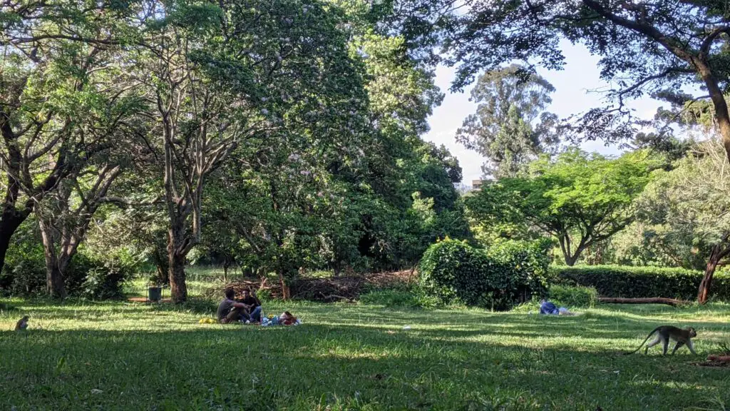 Nairobi Arboretum 