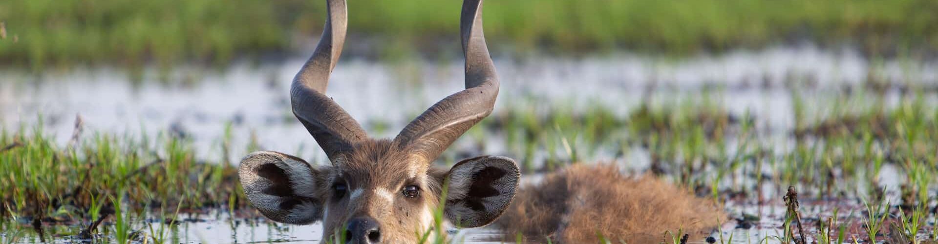 hidden gems in kenya