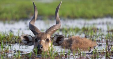 hidden gems in kenya