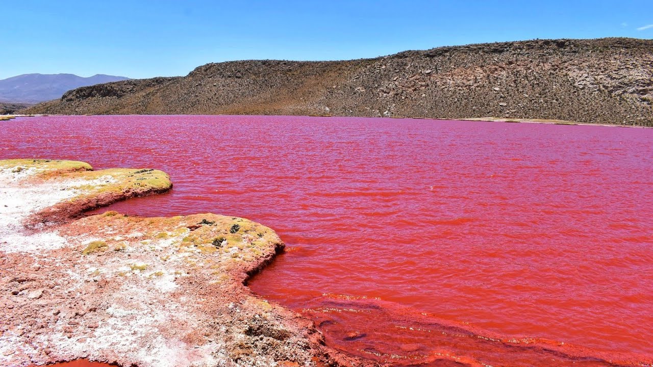 Blood Red Alkaline Lake 