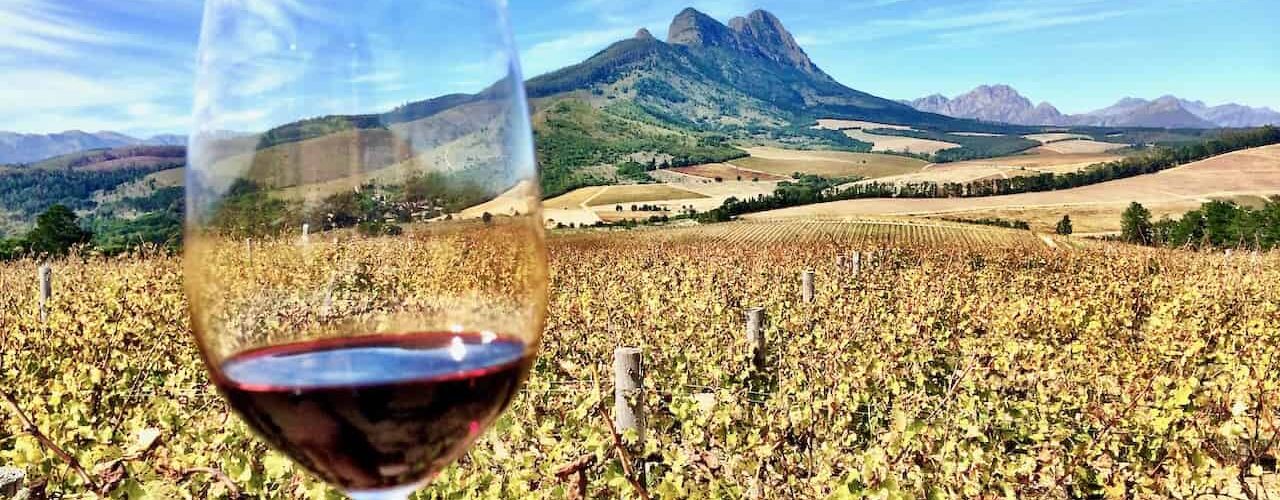 wine producing countries in africa