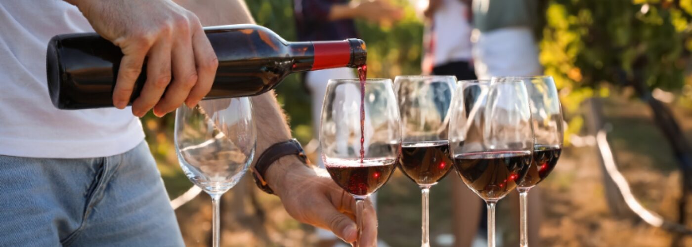 Wines of South Africa