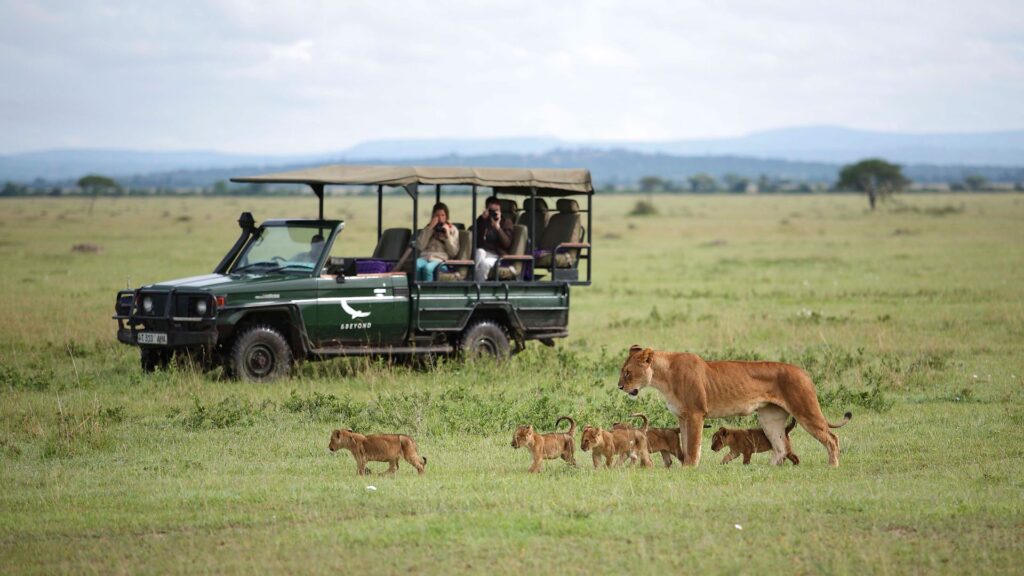 african safaris for couples