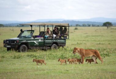 african safaris for couples