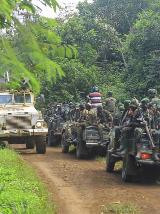 Conflict in eastern Congo forces - See Africa Today