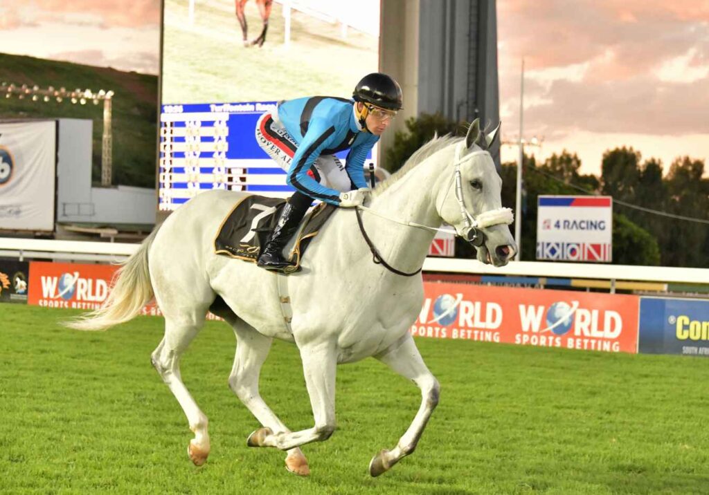 Best Horse Racing Tracks To Visit In Africa - See Africa Today