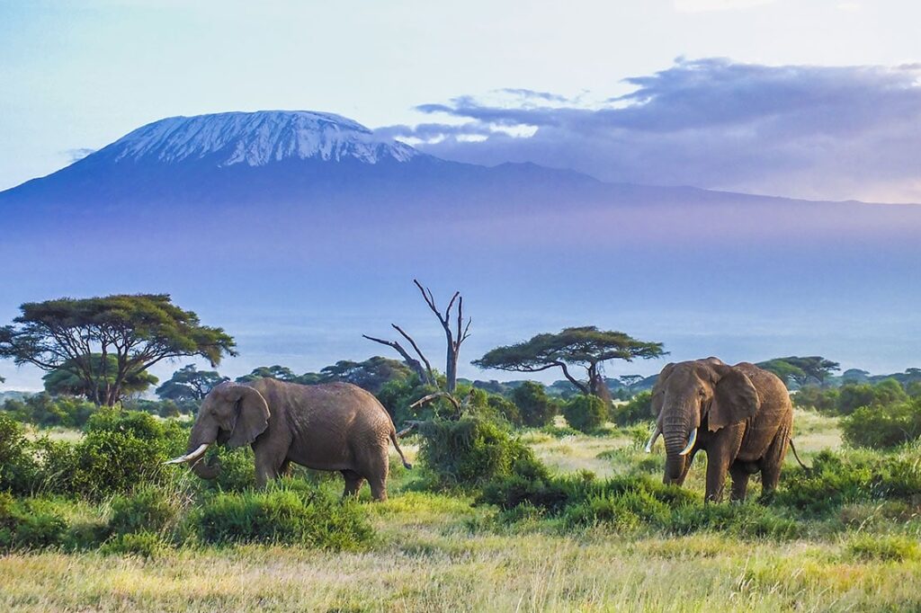 The Beauty of Tanzania’s Materuni Waterfall Picnic and Hike - See ...