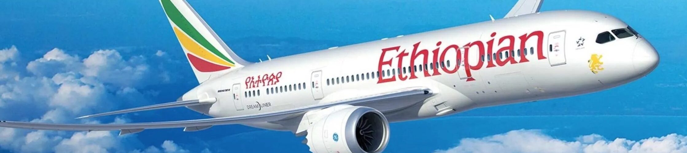 most profitable African airlines