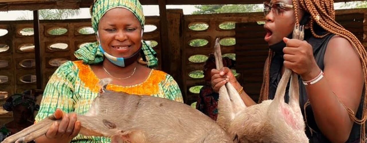 weird facts about nigeria