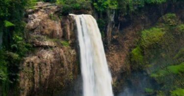 Cameroon: Ecosystems, National Park. etc.