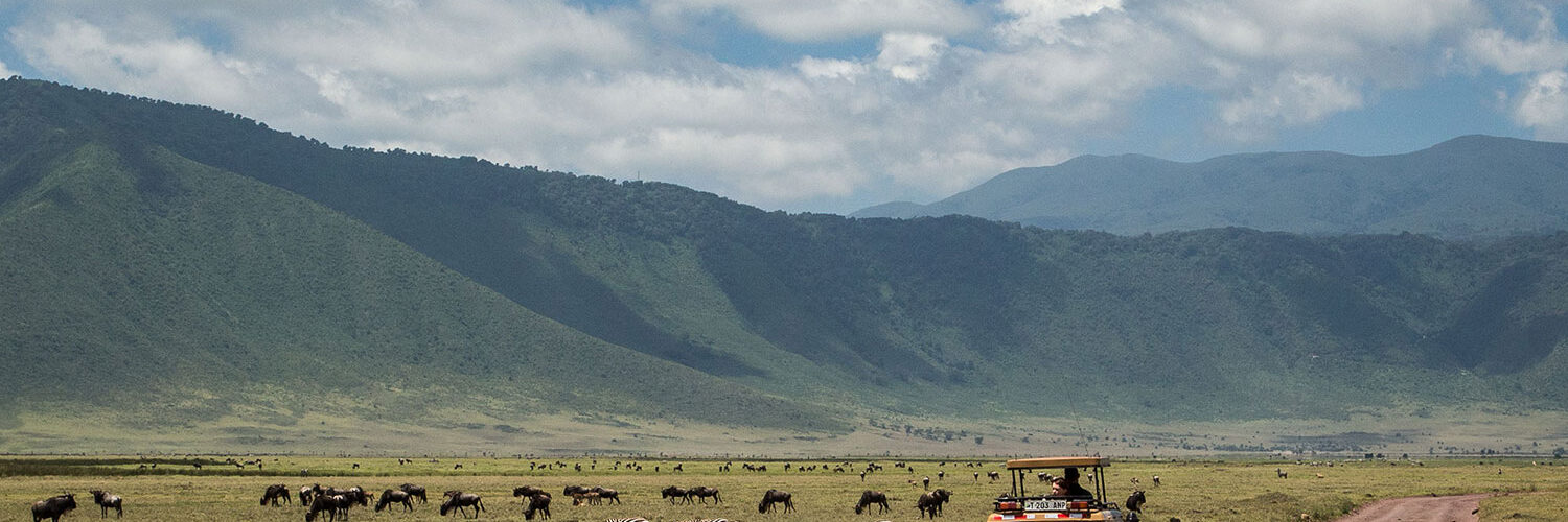 Ngorongoro crater