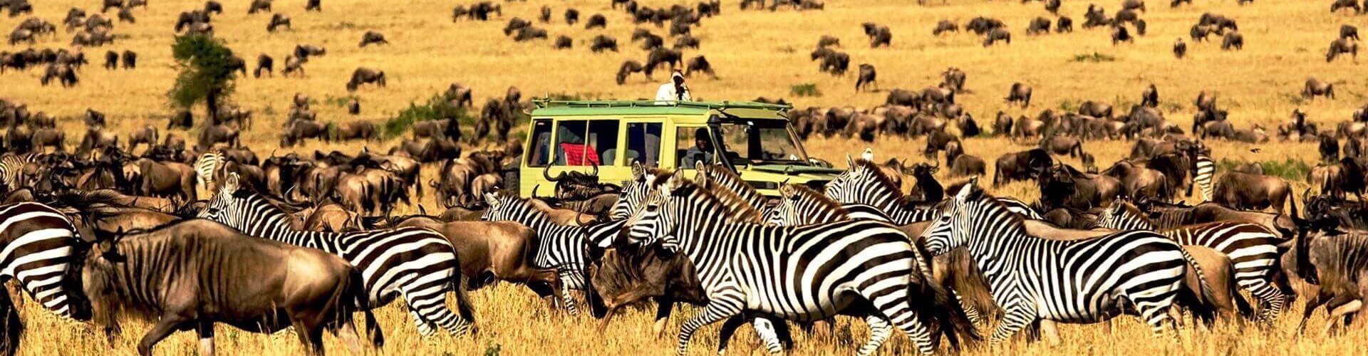 national parks in tanzania
