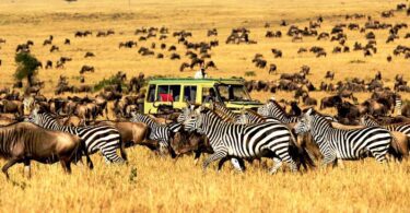 national parks in tanzania