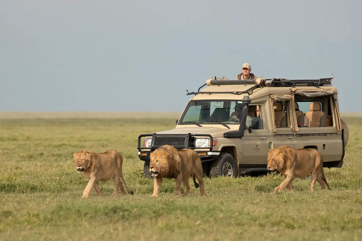 Serengeti National Park 