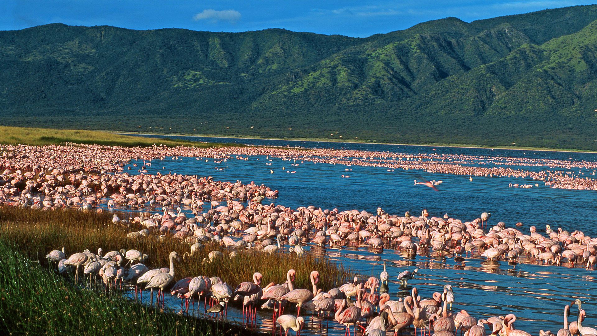 The Kenya Lake Systems 